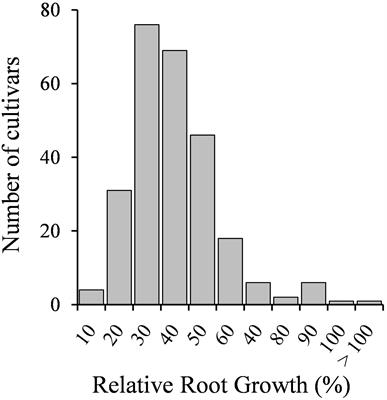 Cadmium-Tolerant and -Sensitive Cultivars Identified by Screening of Medicago truncatula Germplasm Display Contrasting Responses to Cadmium Stress